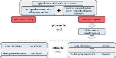 socialsystem.png