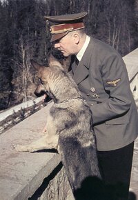 9A328240-5B36-42AC-A06E-B6309AC5AF6D.jpeg