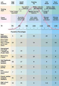 IQ is correlated with success and fewer children