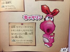 Birdo catherine