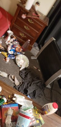 20190212 012257