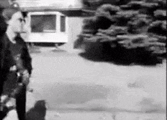 E872FC9C-CA0A-4263-A4F9-8C22EE73883F.gif