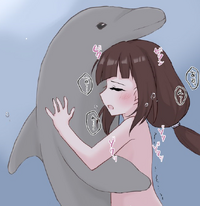Dolphin
