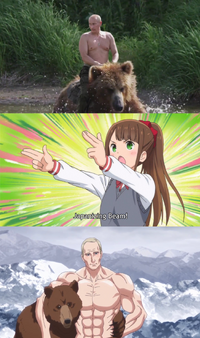 Bear