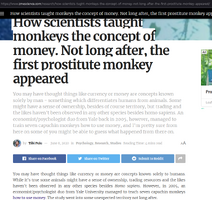 Monkey