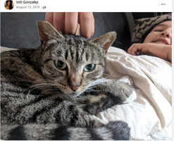 Pussy