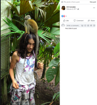 10 monkey look up