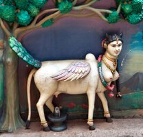 Batu Caves Kamadhenu