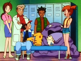 Oak taller than Brock