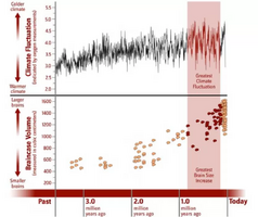 Changes Climate Braincase Volume KC