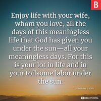 ecclesiastes99-enjoy-life-with-your-wife-whom-you-love-all-the-days-of-this-NIV-1982-5.jpg