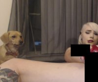 dog2.jpg