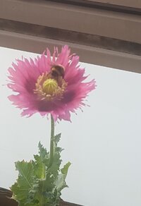 20230621_055638.jpg