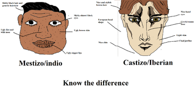 1565312438051-1.png
