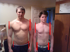 1702063989446.png