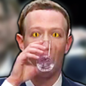 Zuckuccius