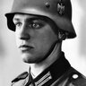 PunishedMischling